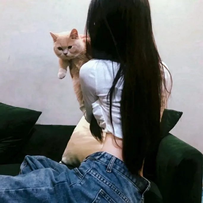 马革裹尸